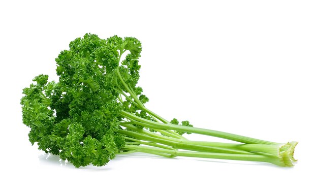 Parsley isolated on white