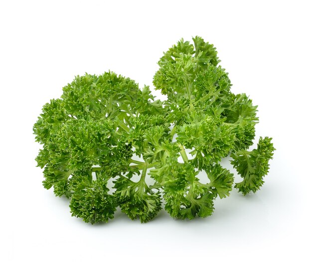 Photo parsley isolated on white