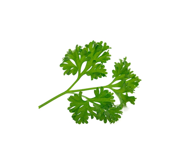 Photo parsley isolated on white