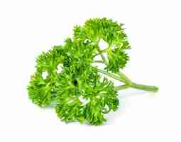 Photo parsley leaf or petroselinum crispum leaves isolated on white background green leaves pattern