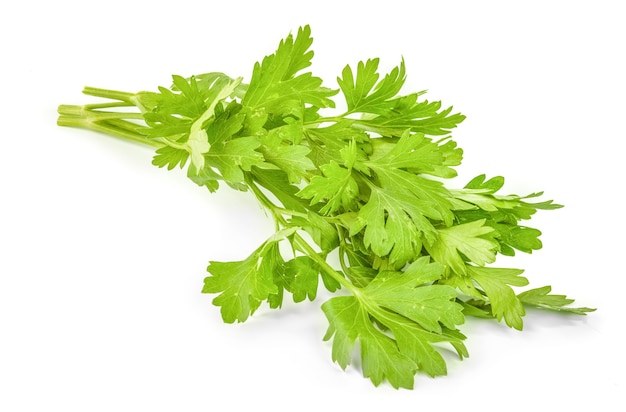 Parsley leaves isolated on white cutout.