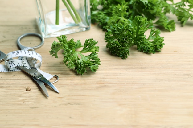 Parsley leaves