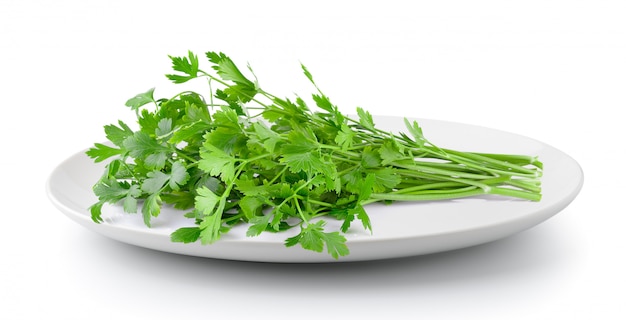 Parsley in a plate isolated on a white background