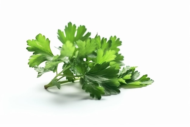 Parsley on a white background generative ai