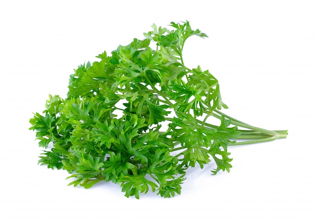 Parsley on white background