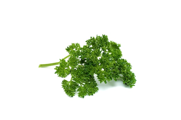 Parsley on white