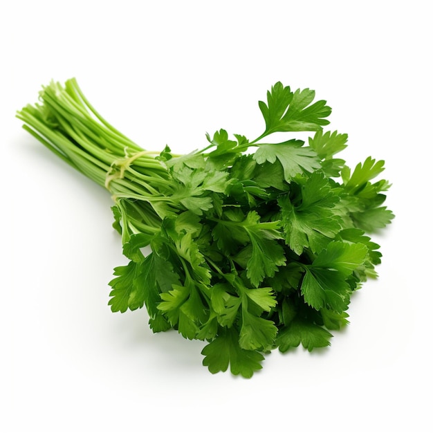 Parsley with white background high quality ultra hd