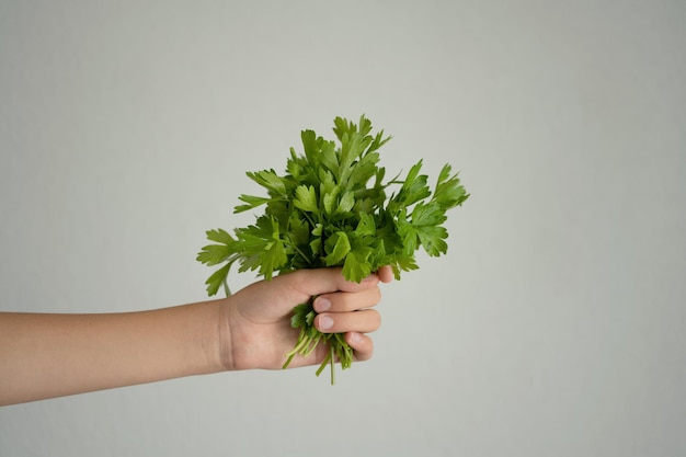 Photo parsley in woman's hand on gray background