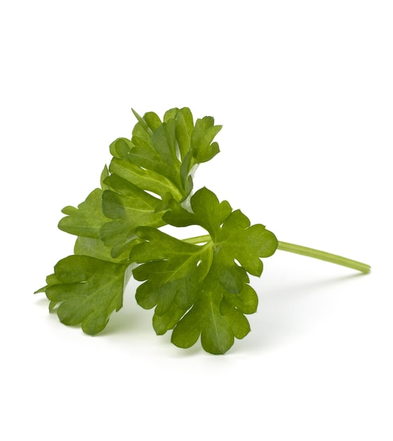 Parsley