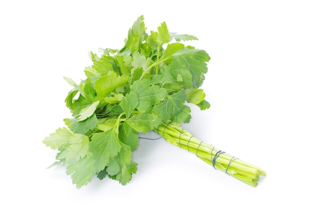 Parsley