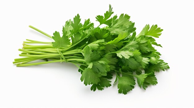 Parsley