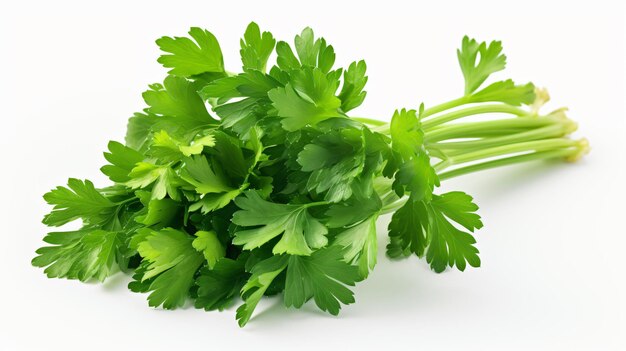 Parsley