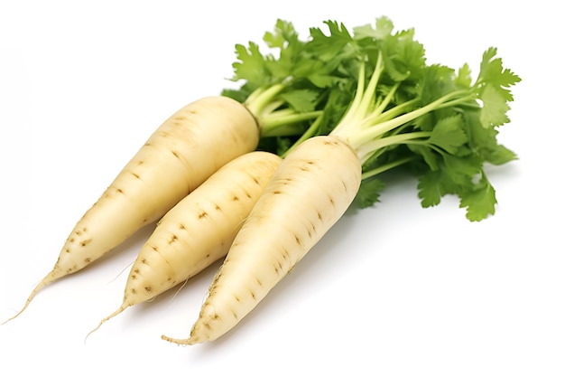 Photo parsnip isolated on white background