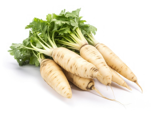 Photo parsnip root isolated on white background with clipping path