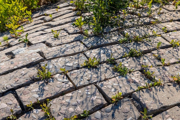 Part of the embankment is made of stones and tiles