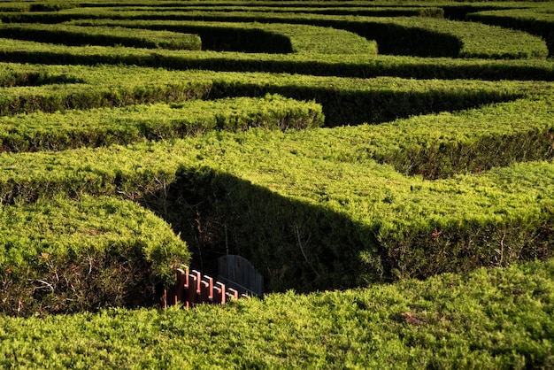 Parte del labirinto del giardino