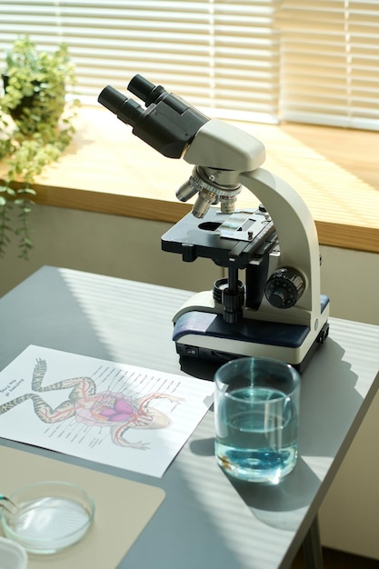 Part of grey desk with microscope and paper with sketch of frog structire