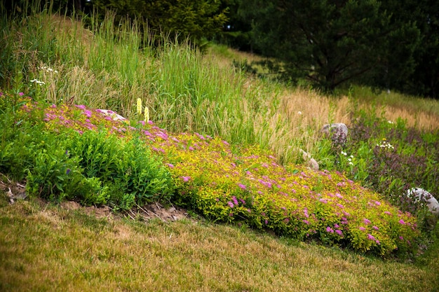 Part of the landscape park Ornamental plants flowers and grass are located on the hillside