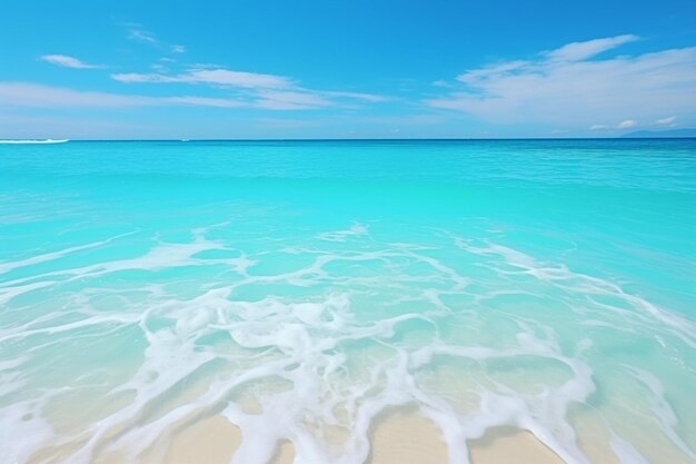 写真 メキシコのカリブ海のビーチの一部