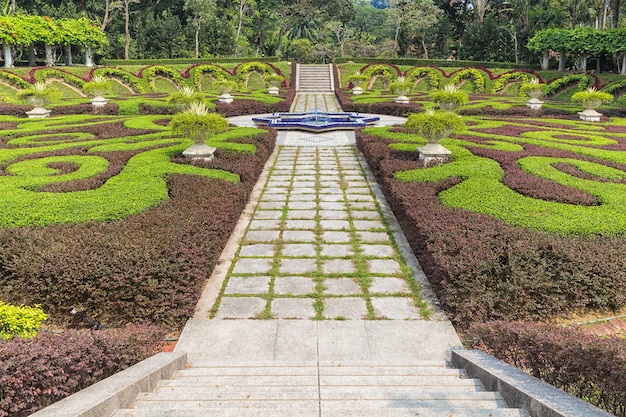 Part of a regular garden with cropped hedges