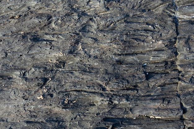 岩の一部をクローズアップ。自然の背景。