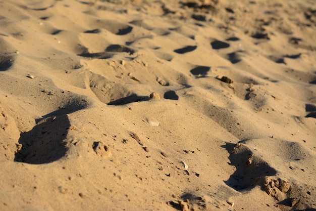 part of sandy dune with shadows isolated, close-up