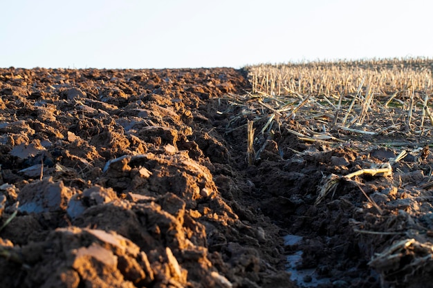 Part of the territory of an agricultural field with fertile soil