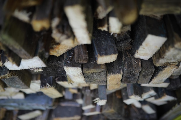 Part of a wood pile with cut needle wood wood industry brown\
background