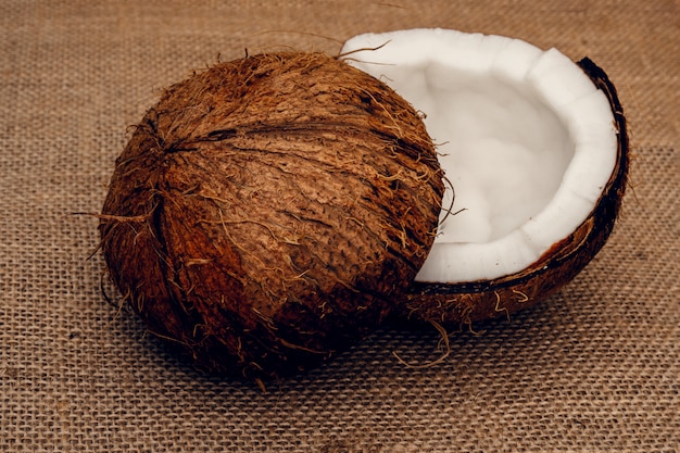 Parts of coconut on a colored background