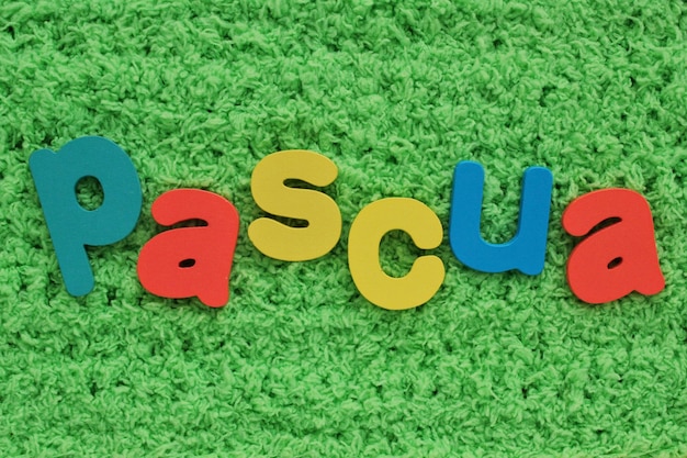 Pascua, easter on spanish colored lettering on green grass background. holiday spring compostion con