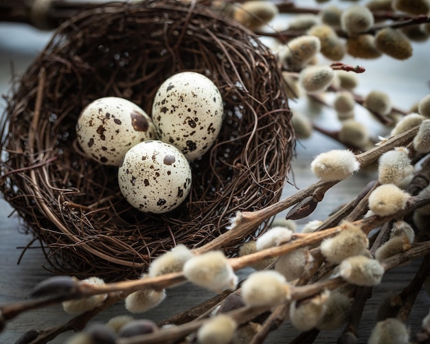 Pasen-achtergrond met kwarteleitjes in het nest en wilgentakken