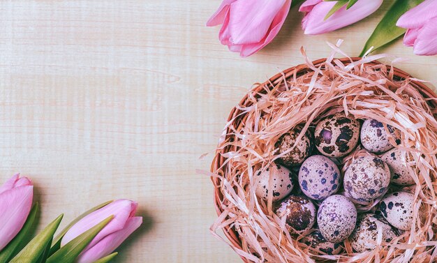 Pasen achtergrond roze tulpen op houten tafel kwartel eieren nest