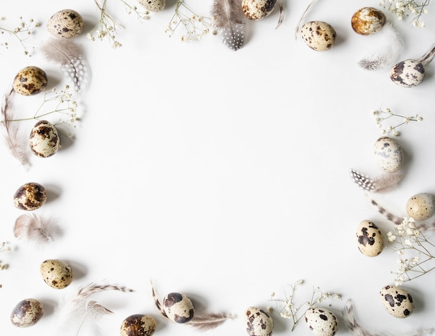 Pasen creatieve frame van kwarteleitjes, witte bloemen en verschillende veren op een wit
