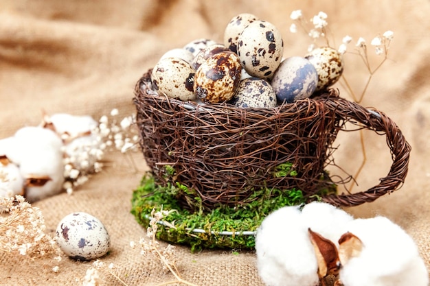 Pasen-decoratie met ei in nest en katoen op witte marmeren achtergrond