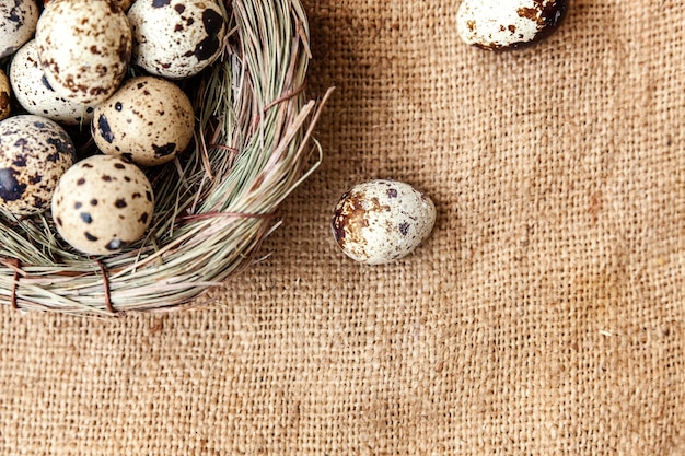 Pasen-decoratie met ei in nest op de bruine rustieke achtergrond van het linnencanvas