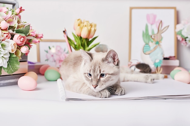 Pasen kat met eieren en bloemen. Grijze kitten zittend op tafel. Lente wenskaart vrolijk Pasen. Pasen decor. Aquarel lente schilderijen. Ontwerper en kunstenaarswerkplaats. Creatieve ruimte.