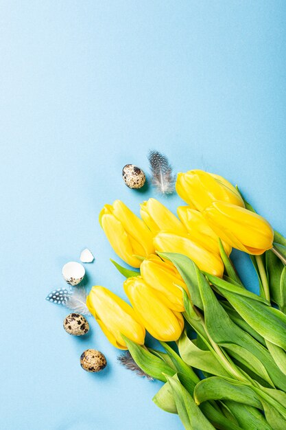 Pasen-oppervlakte met gele tulpen en kwarteleitjes over blauw. Wenskaart voor Pasen. Kopieer ruimte