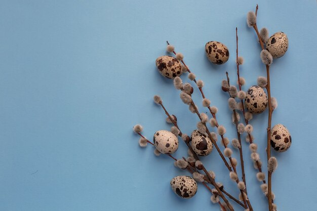 Foto pasen-samenstelling van eieren en boomtakken met bloemen op een blauwe achtergrond.