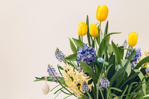 Pasen samenstelling van Lentebloemen met eieren. Gele tulpen, hyacinten, blauwe muscari groeien in pot op witte achtergrond. Vakantie decoratie.