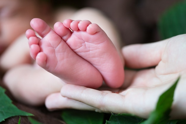 pasgeboren baby voeten in handen van de moeder