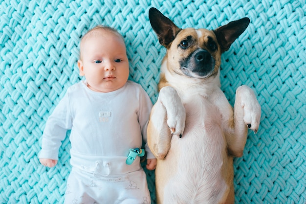 Pasgeboren zacht de nadrukportret dat van de babylevensstijl op rug samen met grappig puppy op munt wollen plaid ligt.