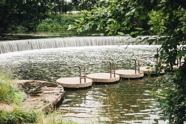 Pasig prachtig groen bos, brug en een waterval