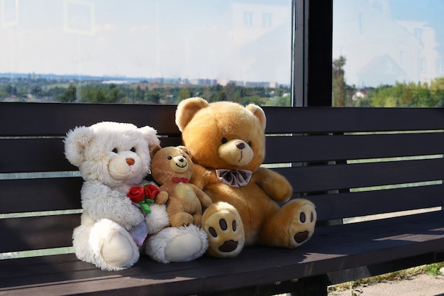 passagiers op de bank Teddyberen op de bank familie reist concept Grappige zomerfoto Bus s