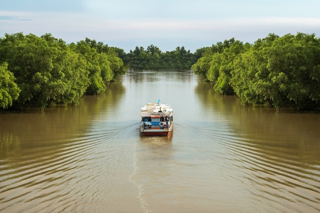 Passagiersboten varen in rivieren omgeven door bossen.