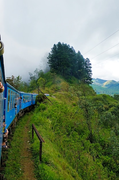 Foto passagierstrein met toeristen rijdt door de groene velden en de jungle van sri lanka