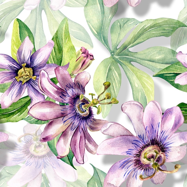 Passion flower plant watercolor seamless pattern isolated on white