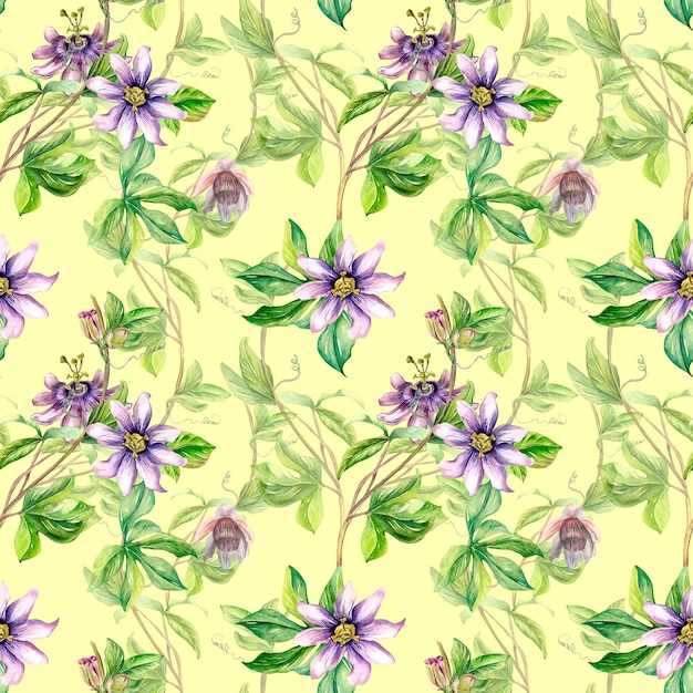 Passion flower plant watercolor seamless pattern isolated on yellow