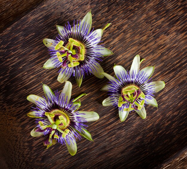 Passionflower flower