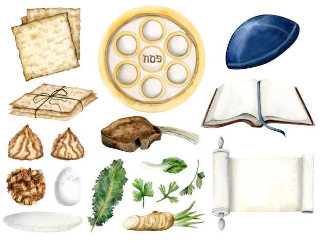 Passover elements set of watercolor Jewish Pesach seder food Haggadah scroll Torah book matzah