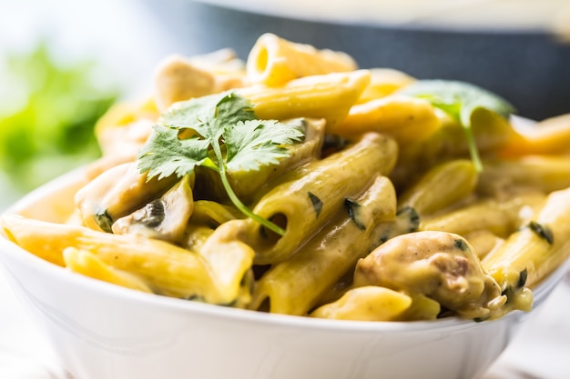 Pasta pene with chicken pieces mushrooms parmesan cheese sauce and herb decoration